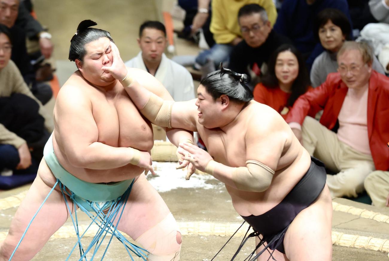 琴桜（左）を激しく攻める阿炎（撮影・河田真司）