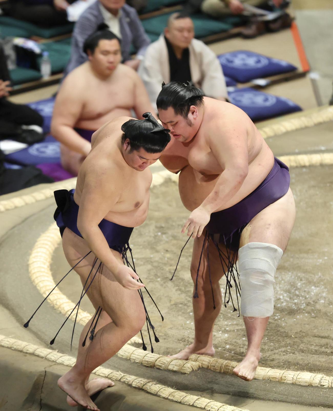 羽出山（左）を寄り切りで破る大奄美（撮影・河田真司）