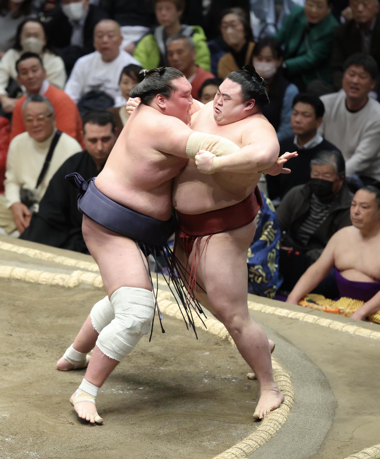 照ノ富士（左）は隆の勝を激しく攻める（撮影・河田真司）