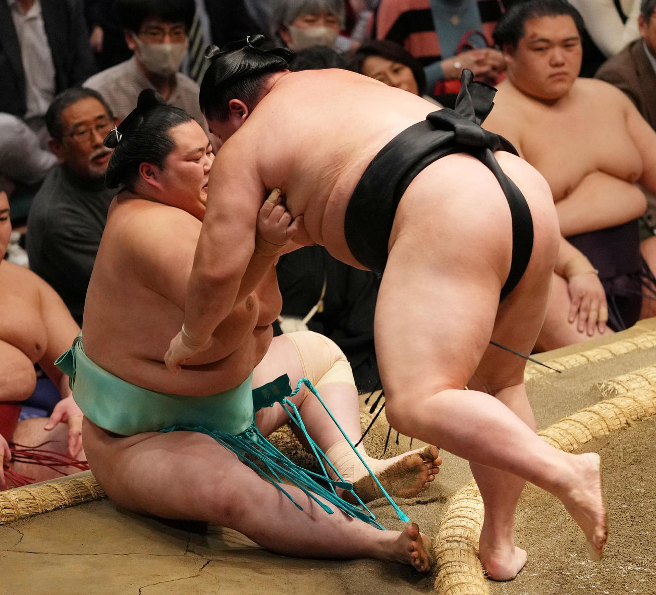 琴桜（左）を寄り倒しで破る正代（撮影・横山健太）