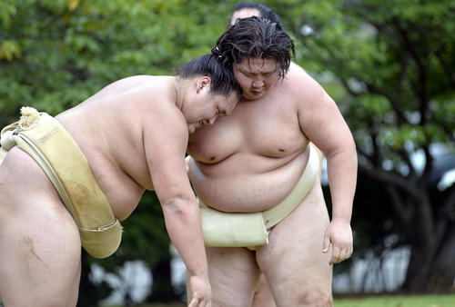 山稽古で、モンゴル相撲を取る幕内照ノ富士（左）と十両逸ノ城