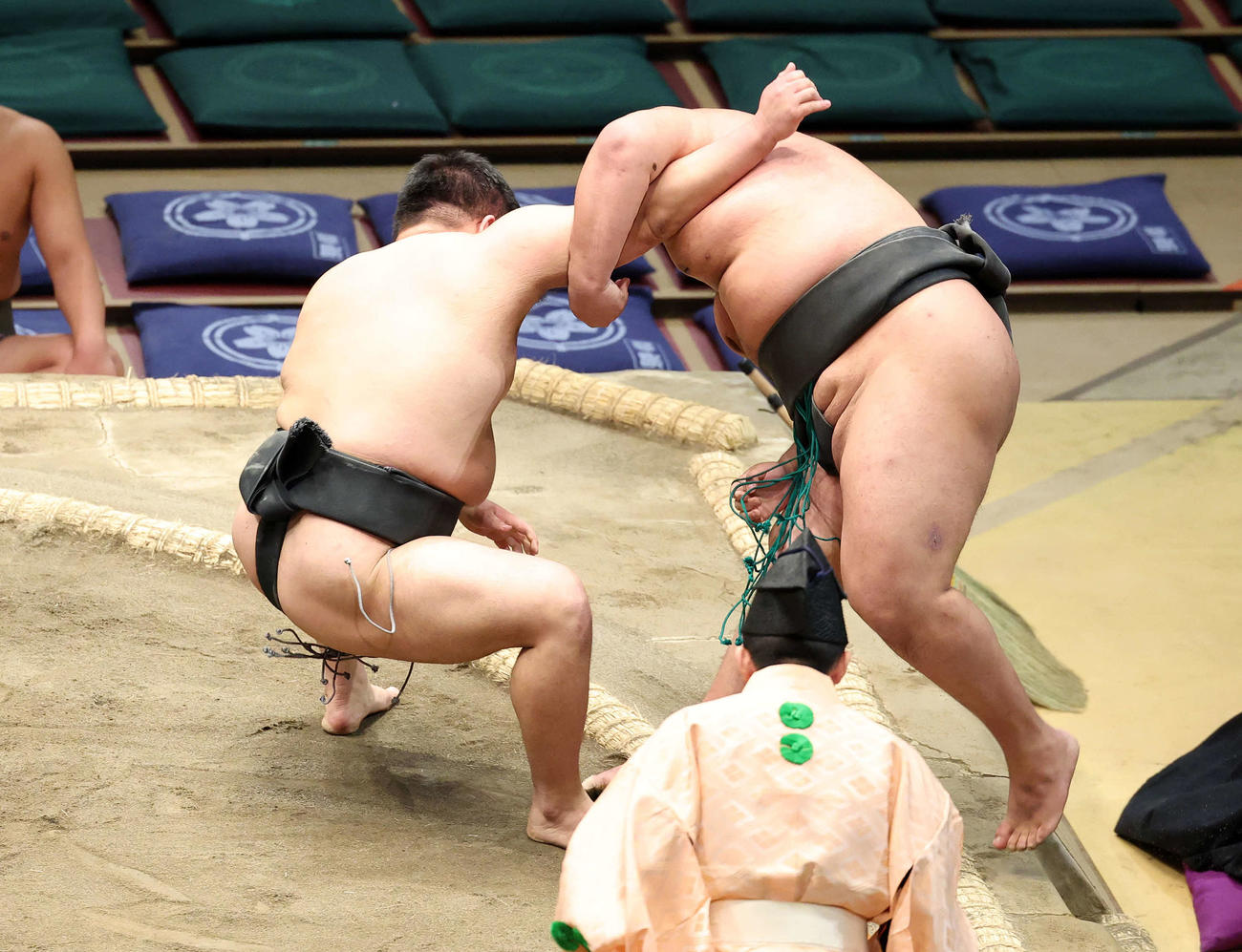 大翔樹（右）を寄り切りで破る碇潟（撮影・鈴木正人）
