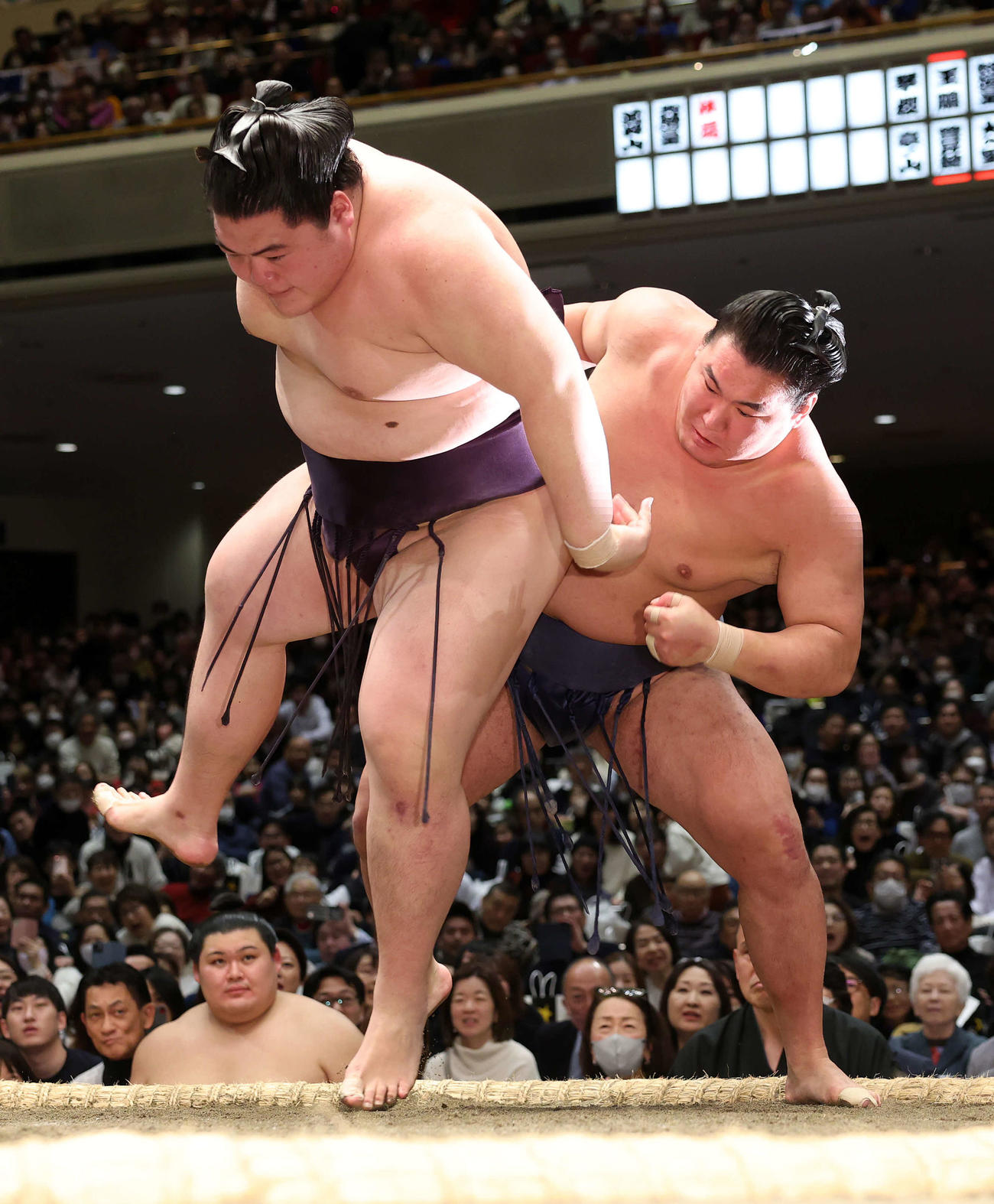 王鵬（左）を攻める豊昇龍（撮影・鈴木正人）