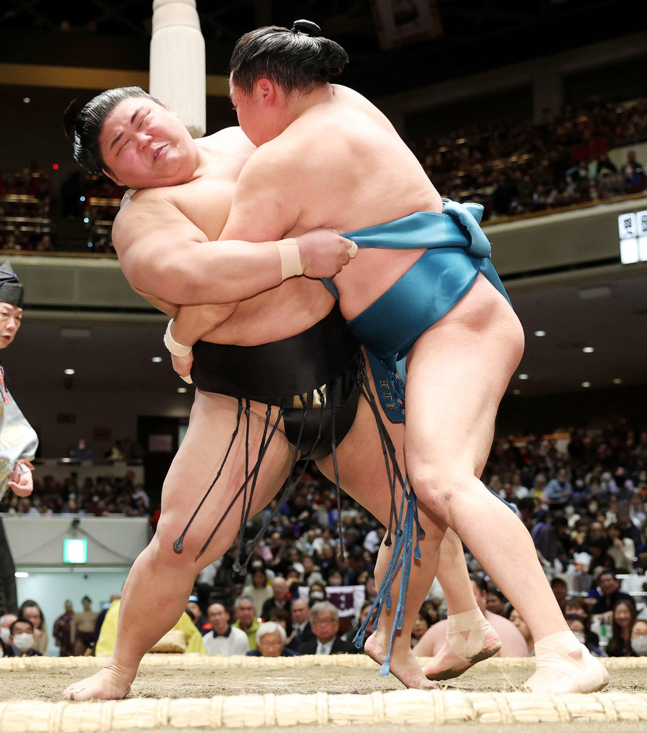 玉正鳳（右）を攻める伯桜鵬（撮影・鈴木正人）