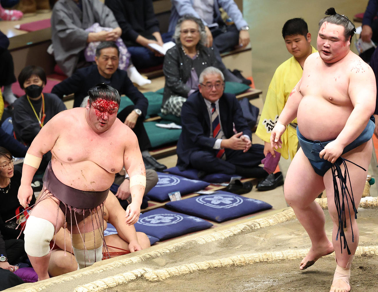 白熊（右）との取り組みで流血した紫雷（撮影・中島郁夫）