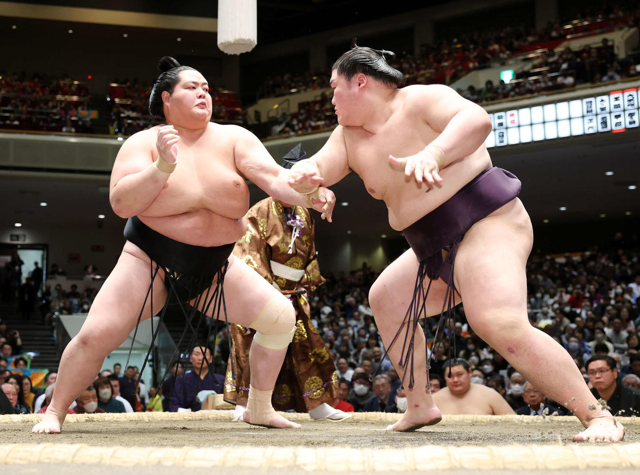 王鵬（右）と攻め合う琴桜（撮影・鈴木正人）