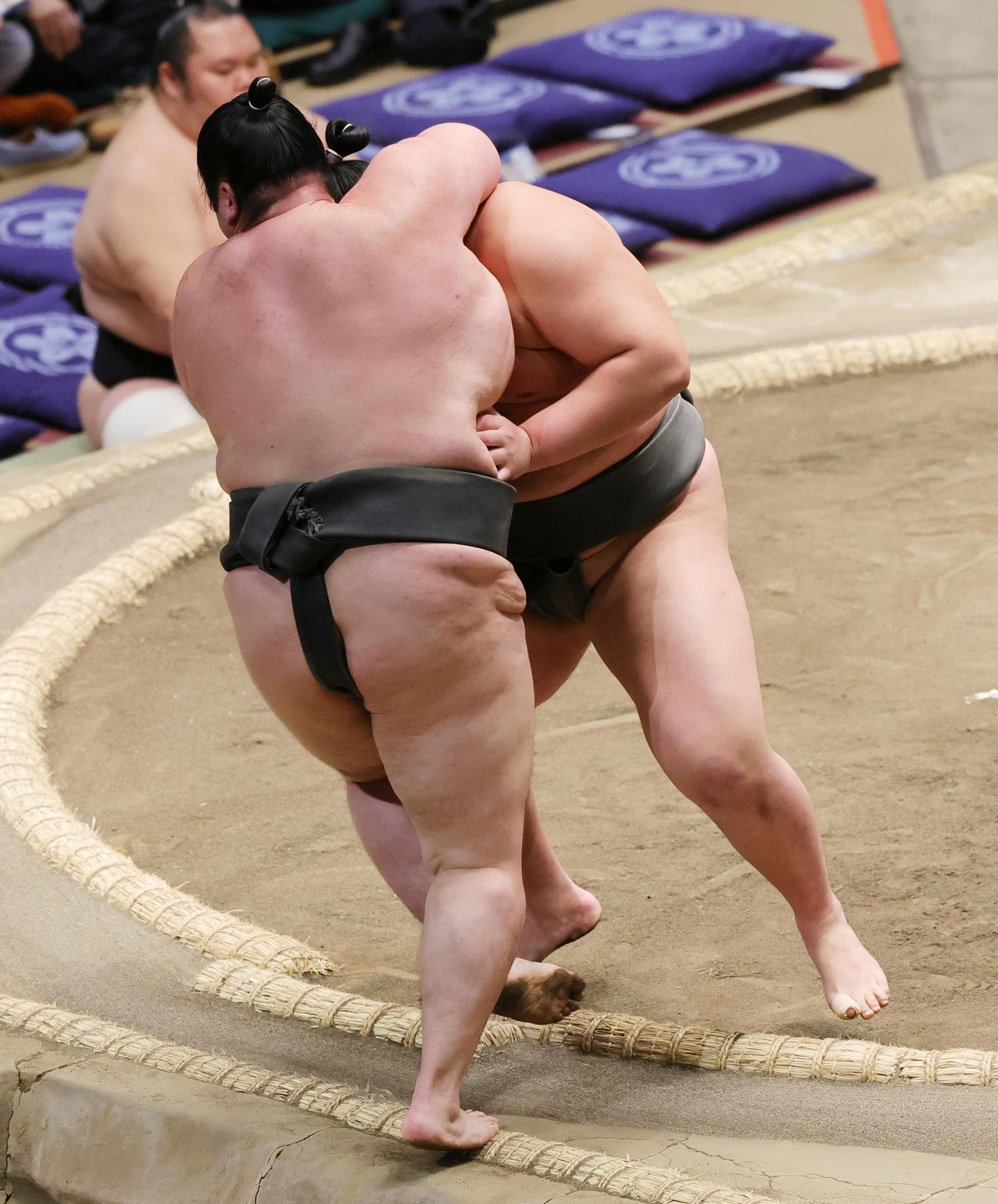 取り直しの一番で栃武蔵（左）を寄り切りで破る琴拳龍（撮影・野上伸悟）
