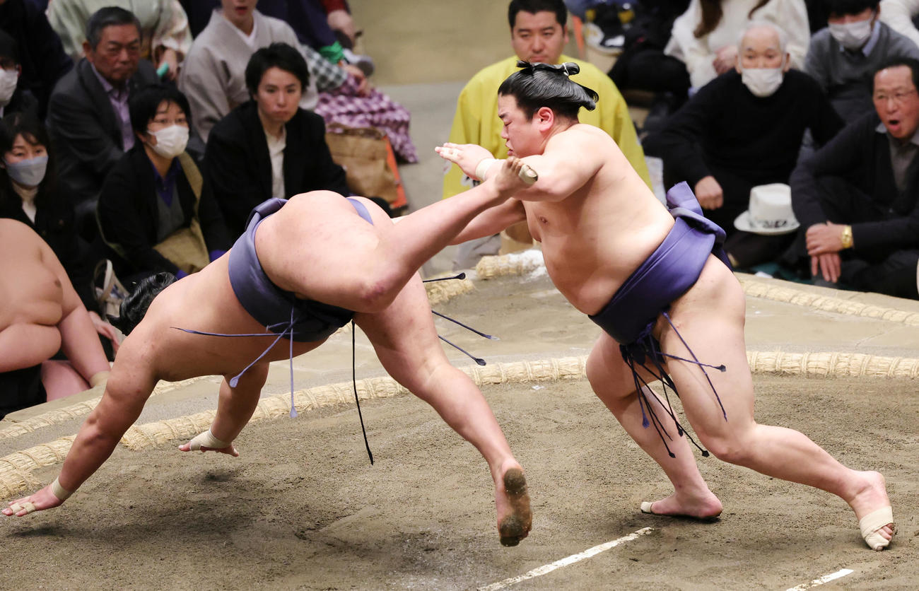 豊昇龍（左）を突き落としで破る平戸海（撮影・野上伸悟）