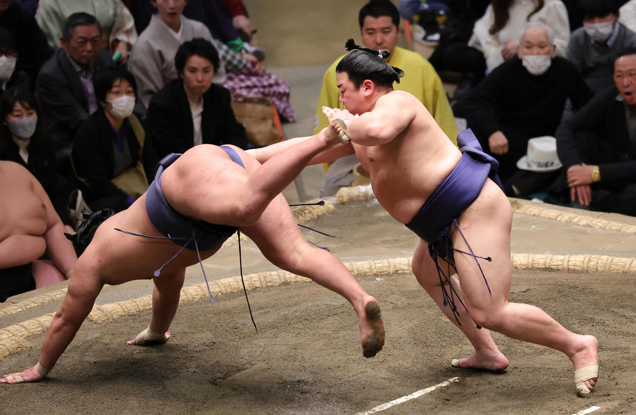 豊昇龍（左）を突き落としで破る平戸海（撮影・野上伸悟）