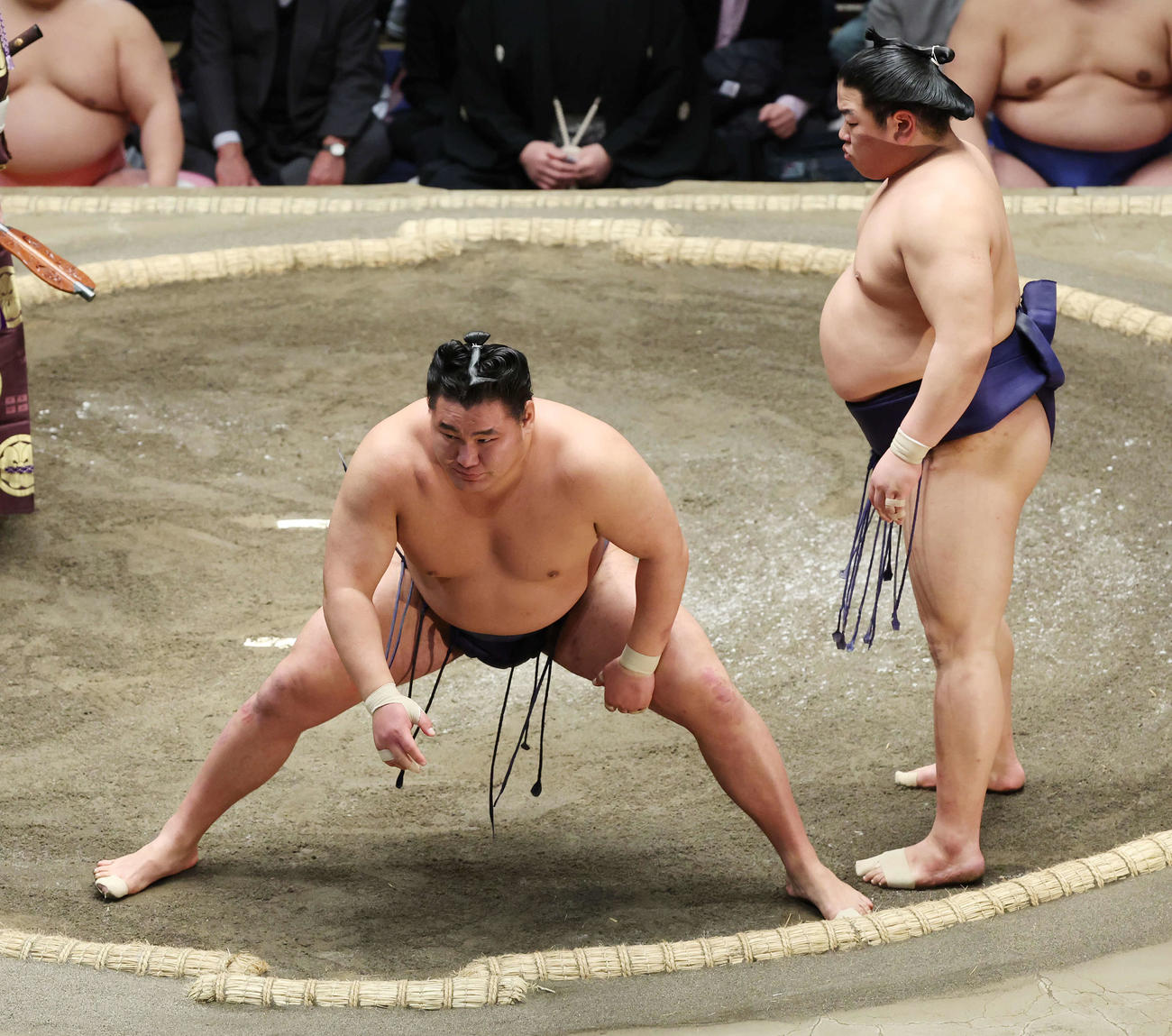 突き落としで平戸海（右）に敗れた豊昇龍（撮影・宮地輝）