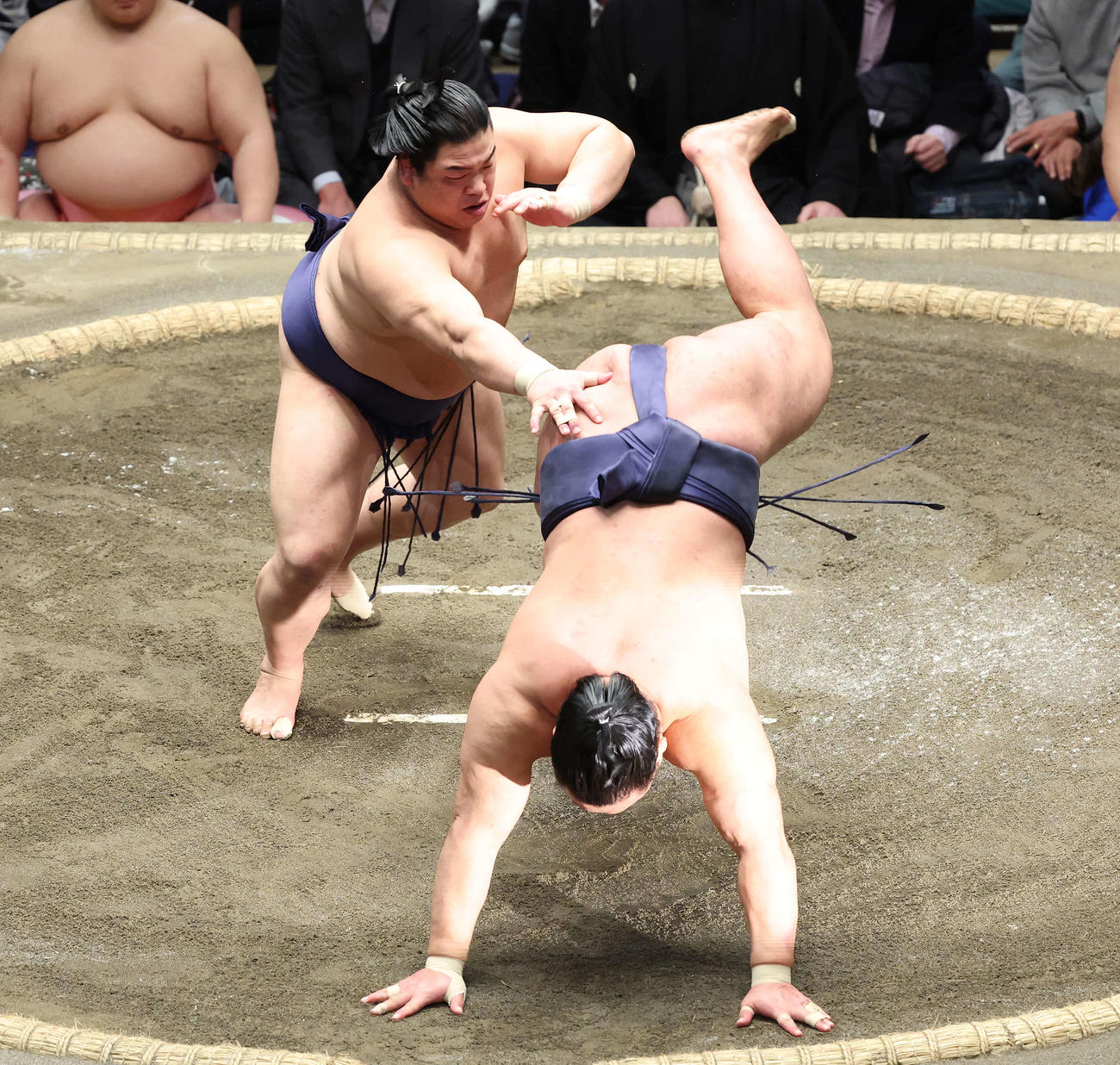 突き落としで豊昇龍（右）を破る平戸海（撮影・宮地輝）