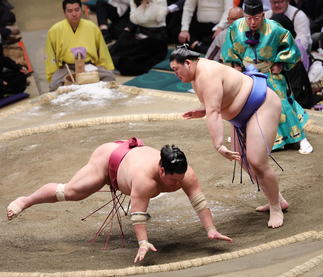 大栄翔（手前）をはたき込みで破る大の里（撮影・野上伸悟）