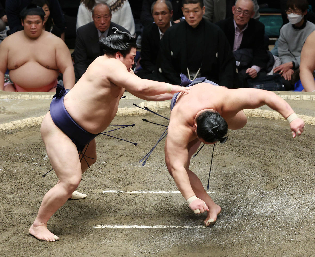 突き落としで豊昇龍（右）を破る平戸海（撮影・宮地輝）