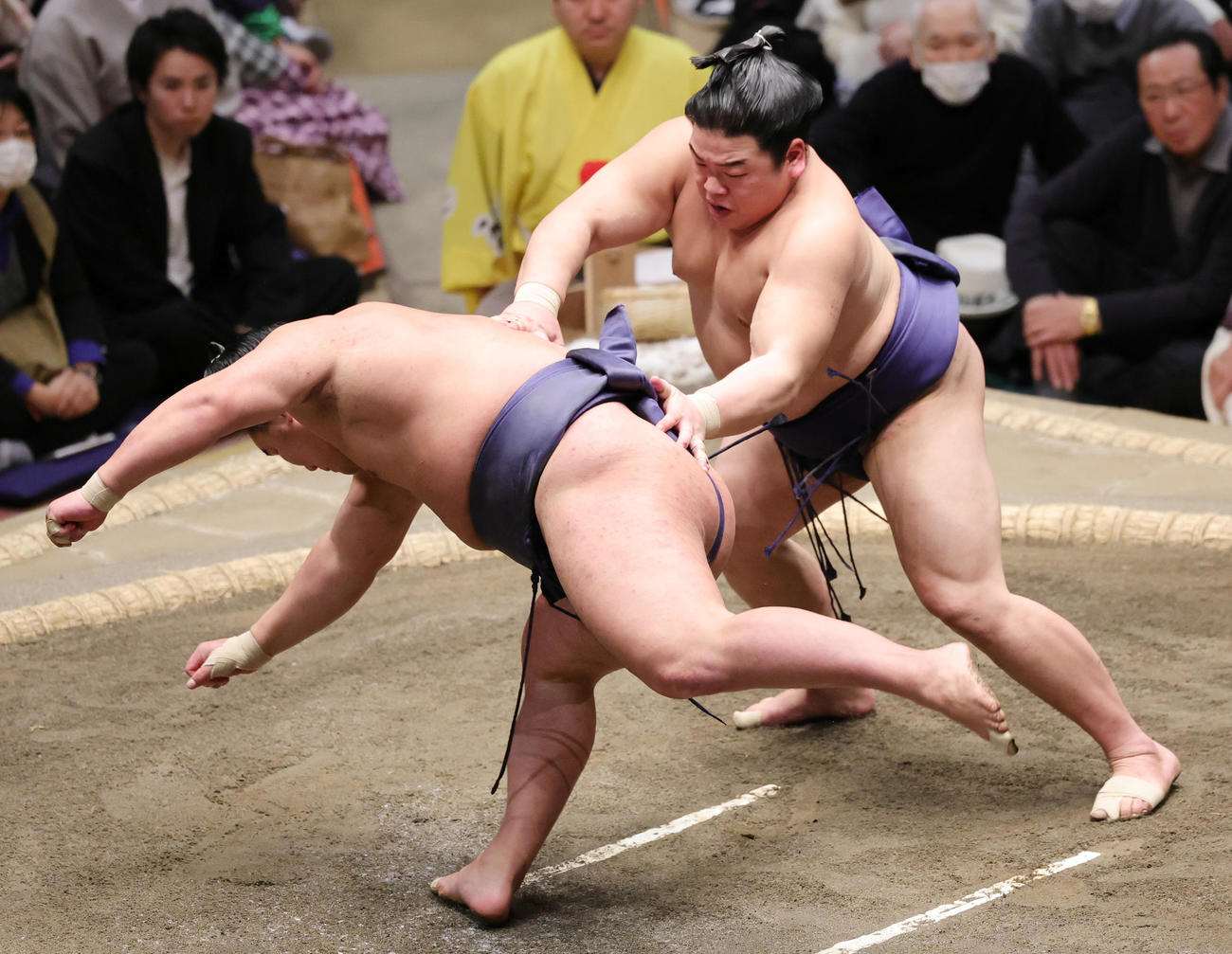 豊昇龍（手前）を突き落としで破る平戸海（撮影・野上伸悟）
