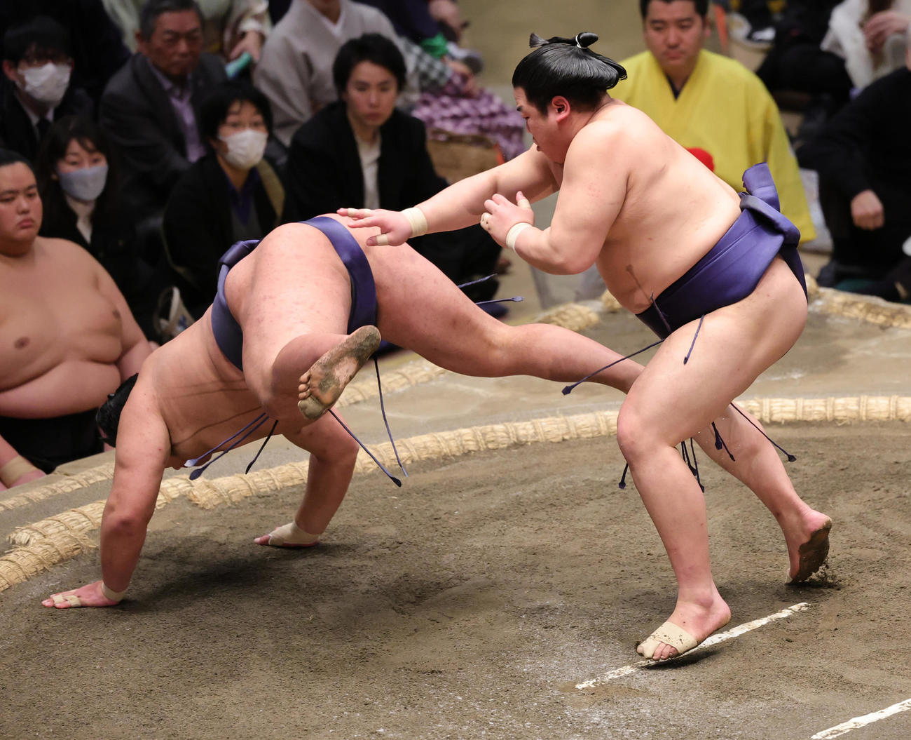 豊昇龍（左）を突き落としで破る平戸海（撮影・野上伸悟）