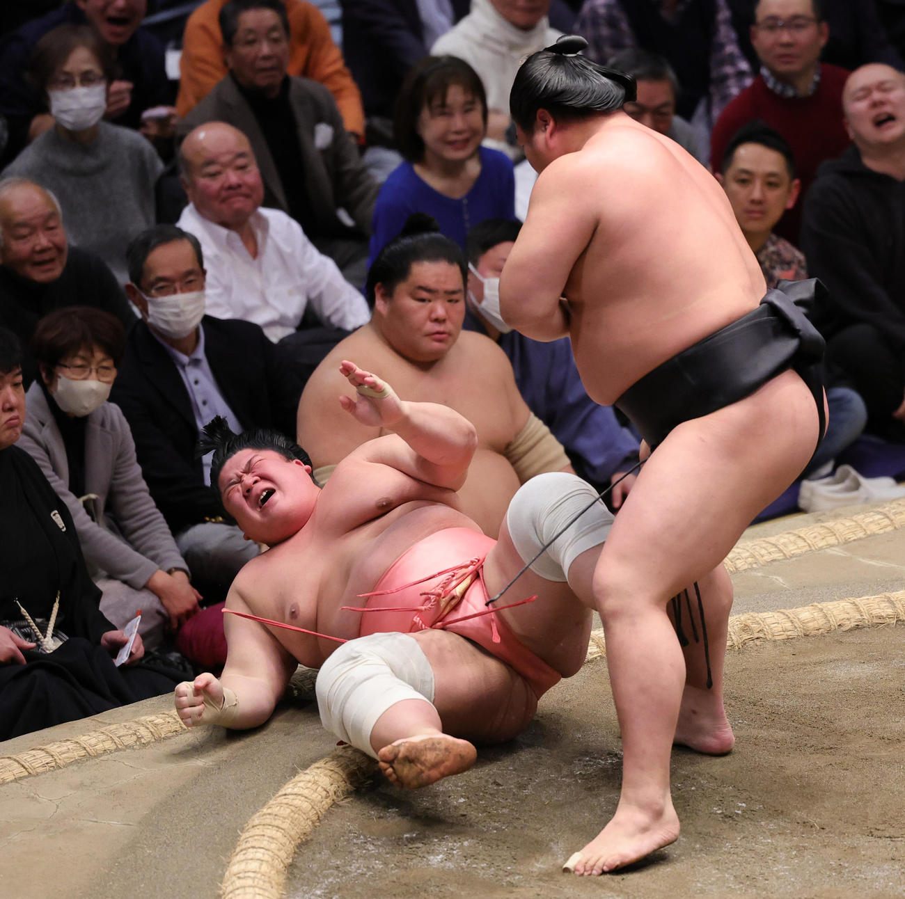 若元春（右）に押したおしで敗れる宇良（撮影・野上伸悟）