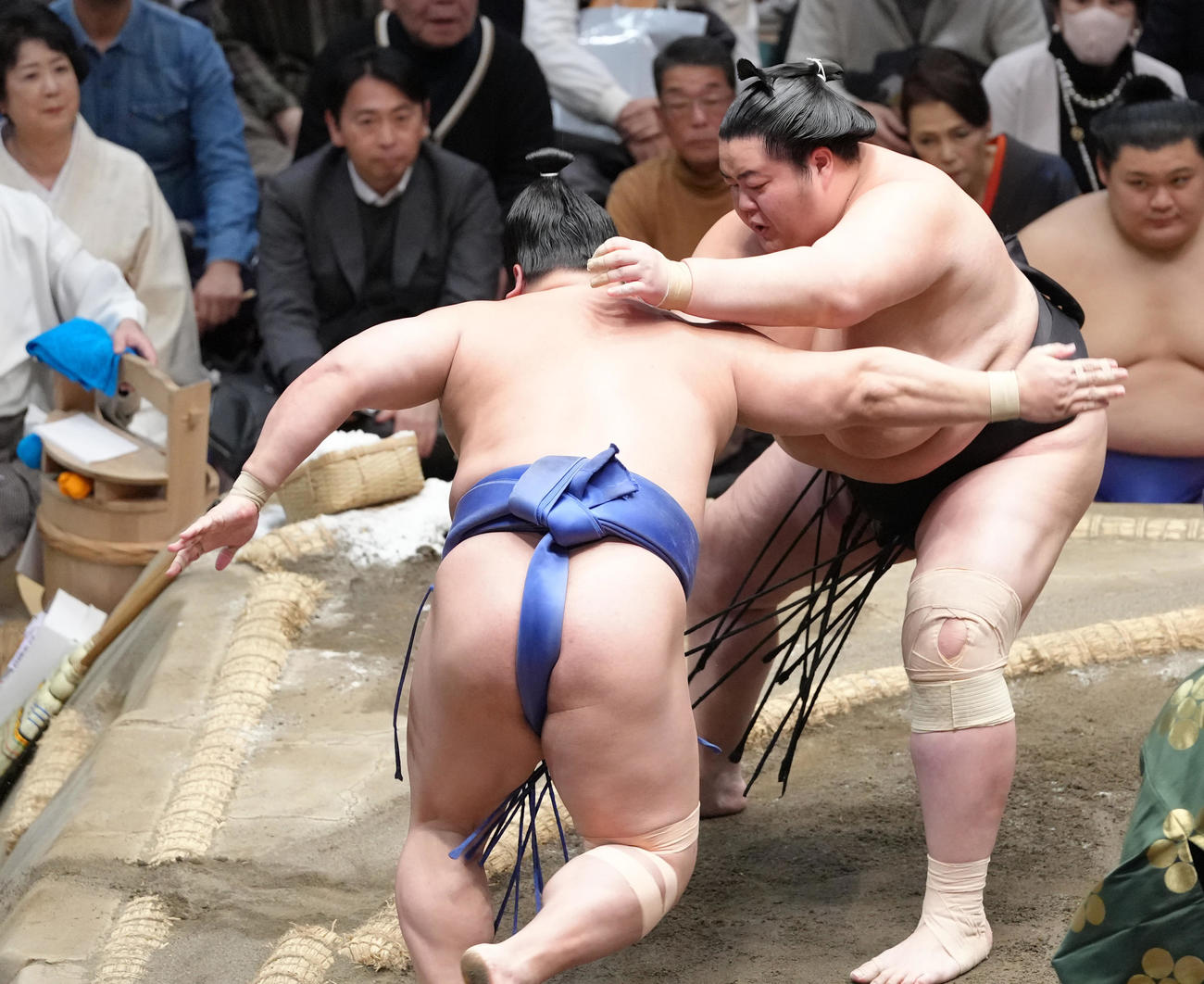 琴桜（右）は若隆景を押し出しで破る（撮影・足立雅史）