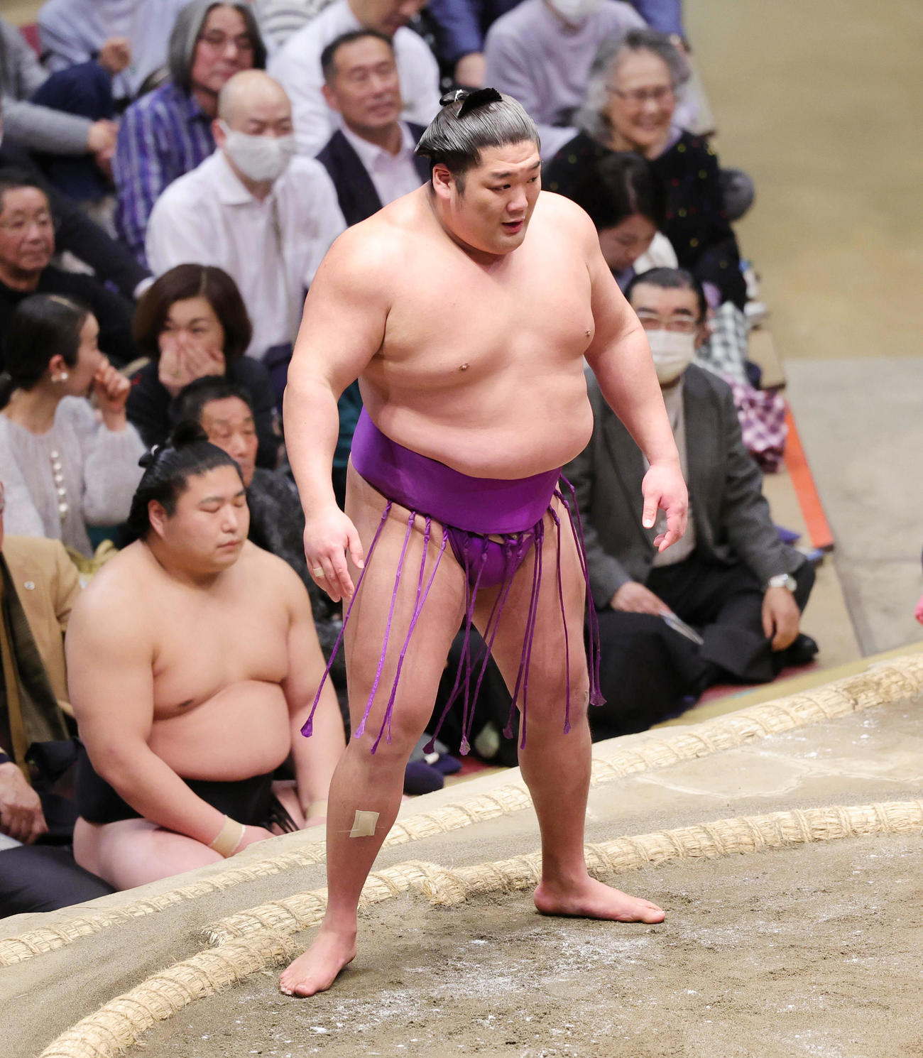 大栄翔に敗れた尊富士（撮影・野上伸悟）