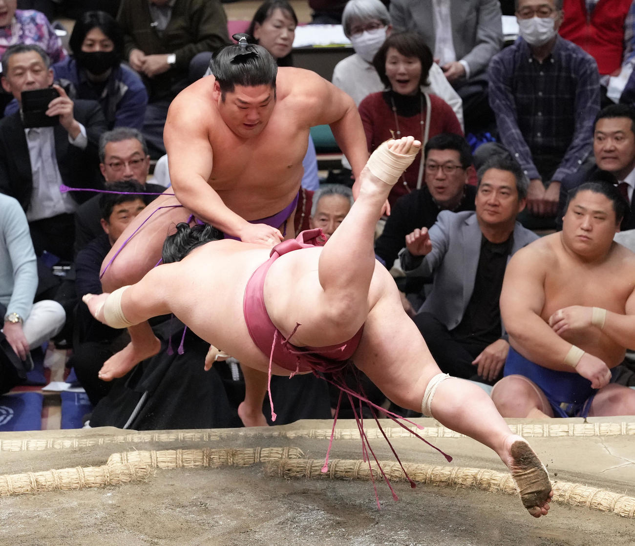 尊富士（後方）は大栄翔に押し出しで敗れる（撮影・足立雅史）
