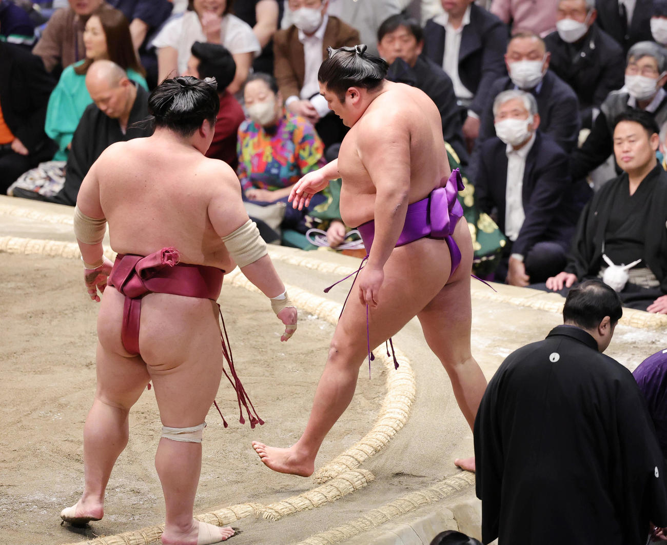 大栄翔に敗れた尊富士（撮影・野上伸悟）