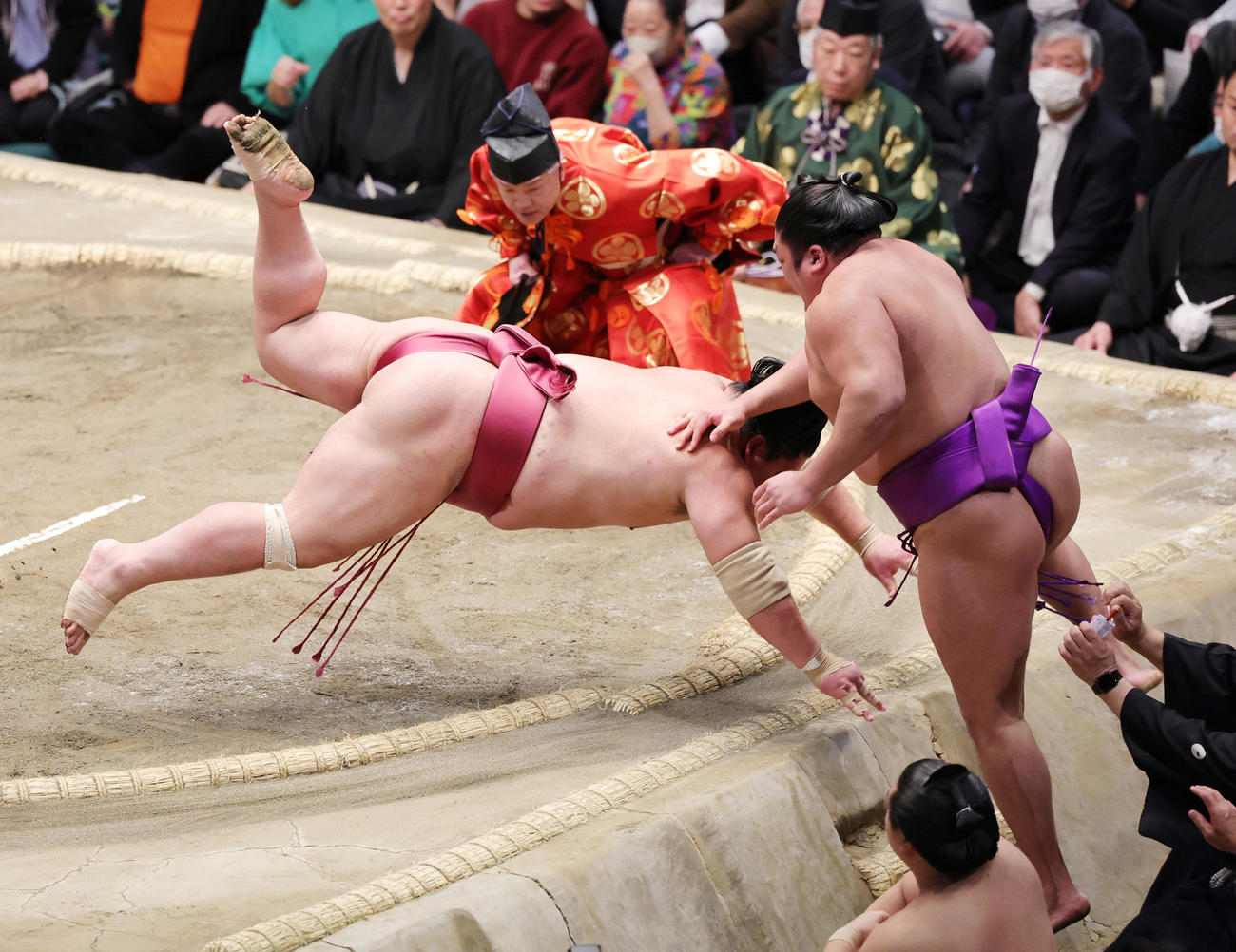尊富士（右）を押し出しで破る大栄翔（撮影・野上伸悟）