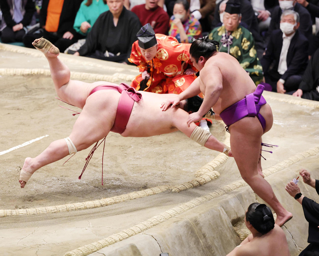 尊富士（右）を押し出しで破る大栄翔（撮影・野上伸悟）