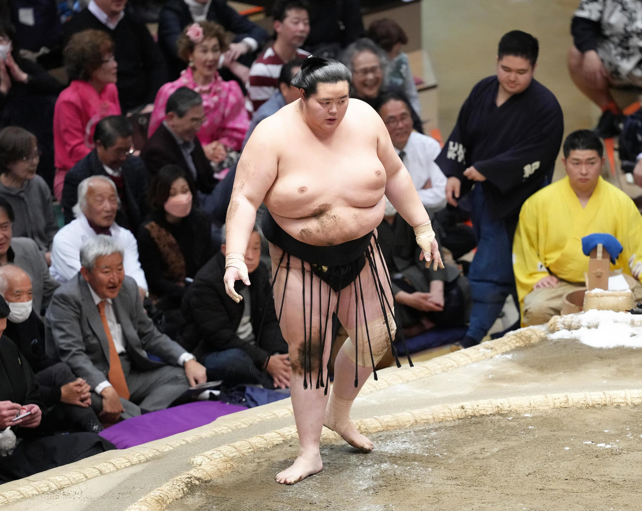 尊富士に突き落としで敗れた琴桜（撮影・足立雅史）