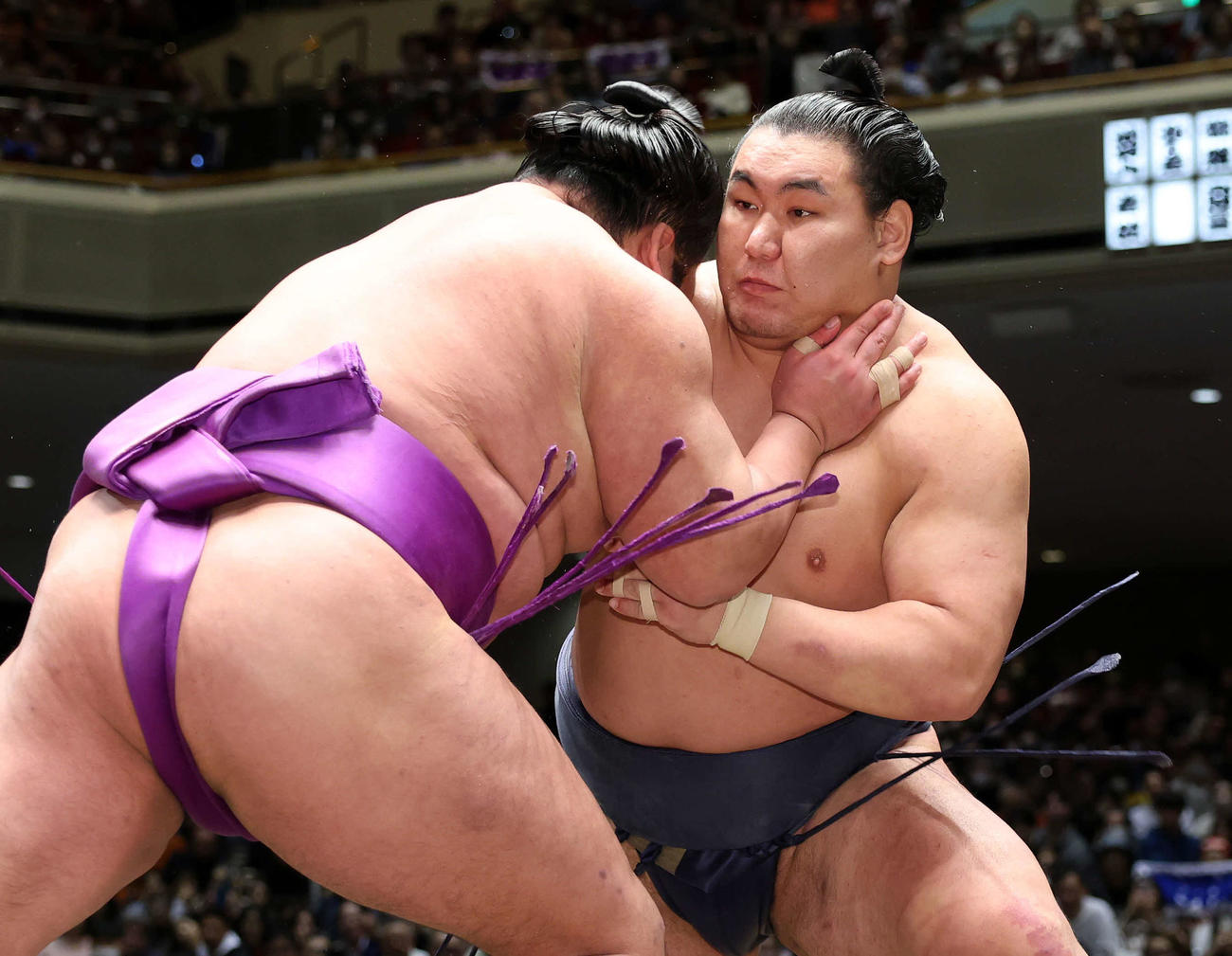 尊富士（左）を攻める豊昇龍（撮影・鈴木正人）