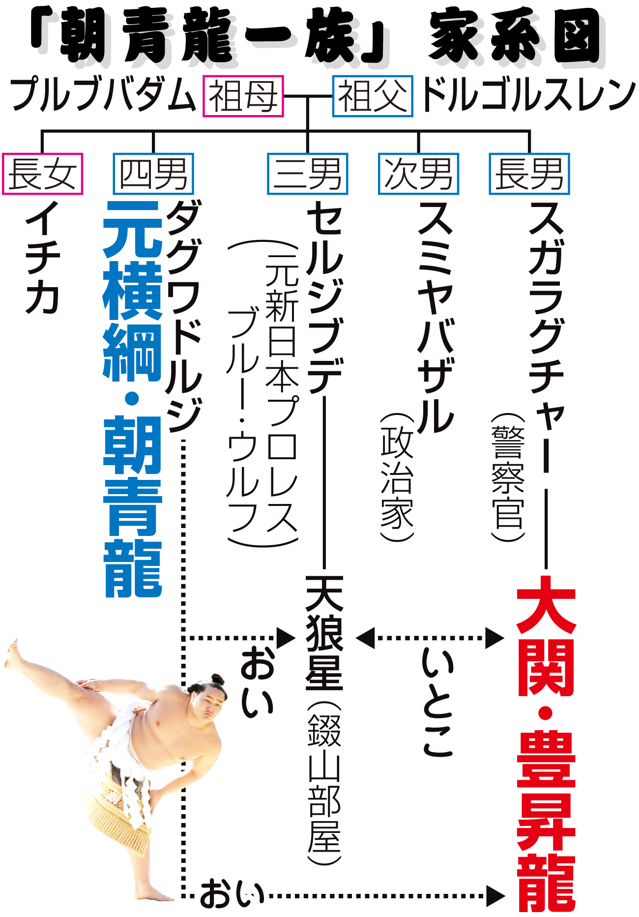 【イラスト】「朝青龍一族」家系図