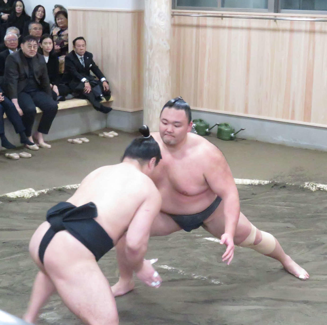 高砂部屋の部屋開きに出席した元朝青龍（後方前列左端）が見つめる中、ぶつかり稽古で胸を出した朝乃山（手前右）