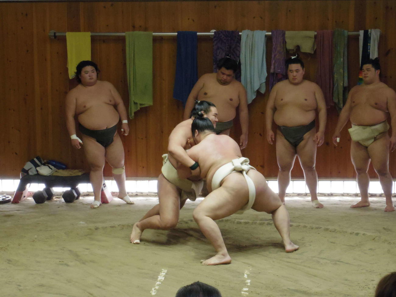 稽古場でのぶつかり稽古で明生に胸を出す新横綱豊昇龍