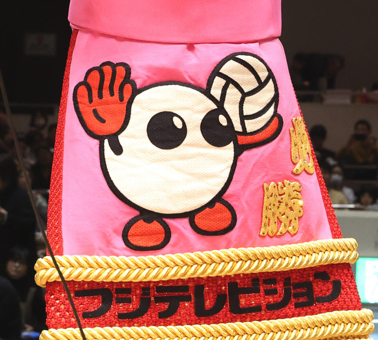 「バボちゃん」がデザインされたフジテレビの化粧まわし（撮影・中島郁夫）