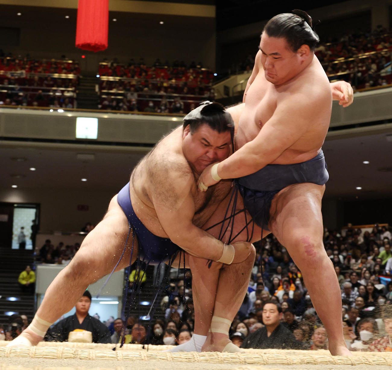豊昇龍（右）を寄り切りで破る高安（撮影・中島郁夫）