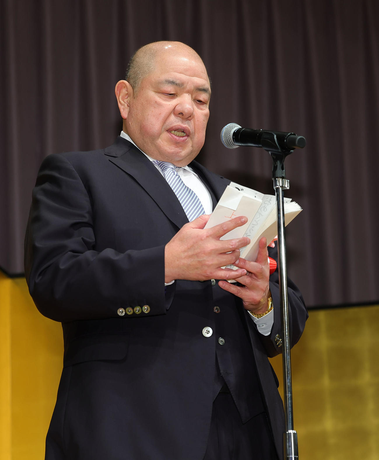 あいさつする八角理事長（代表撮影）