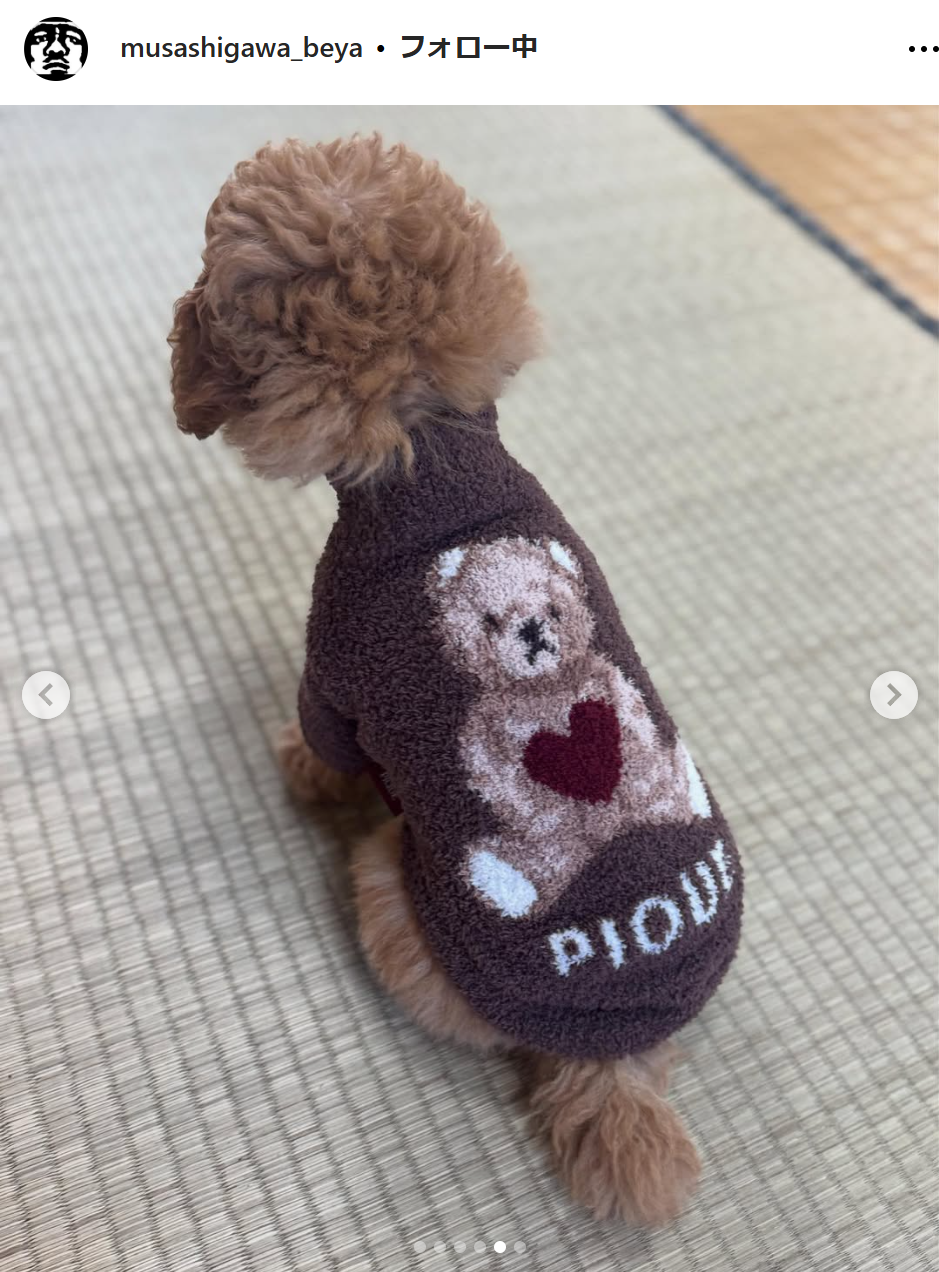 武蔵川部屋のインスタグラムから