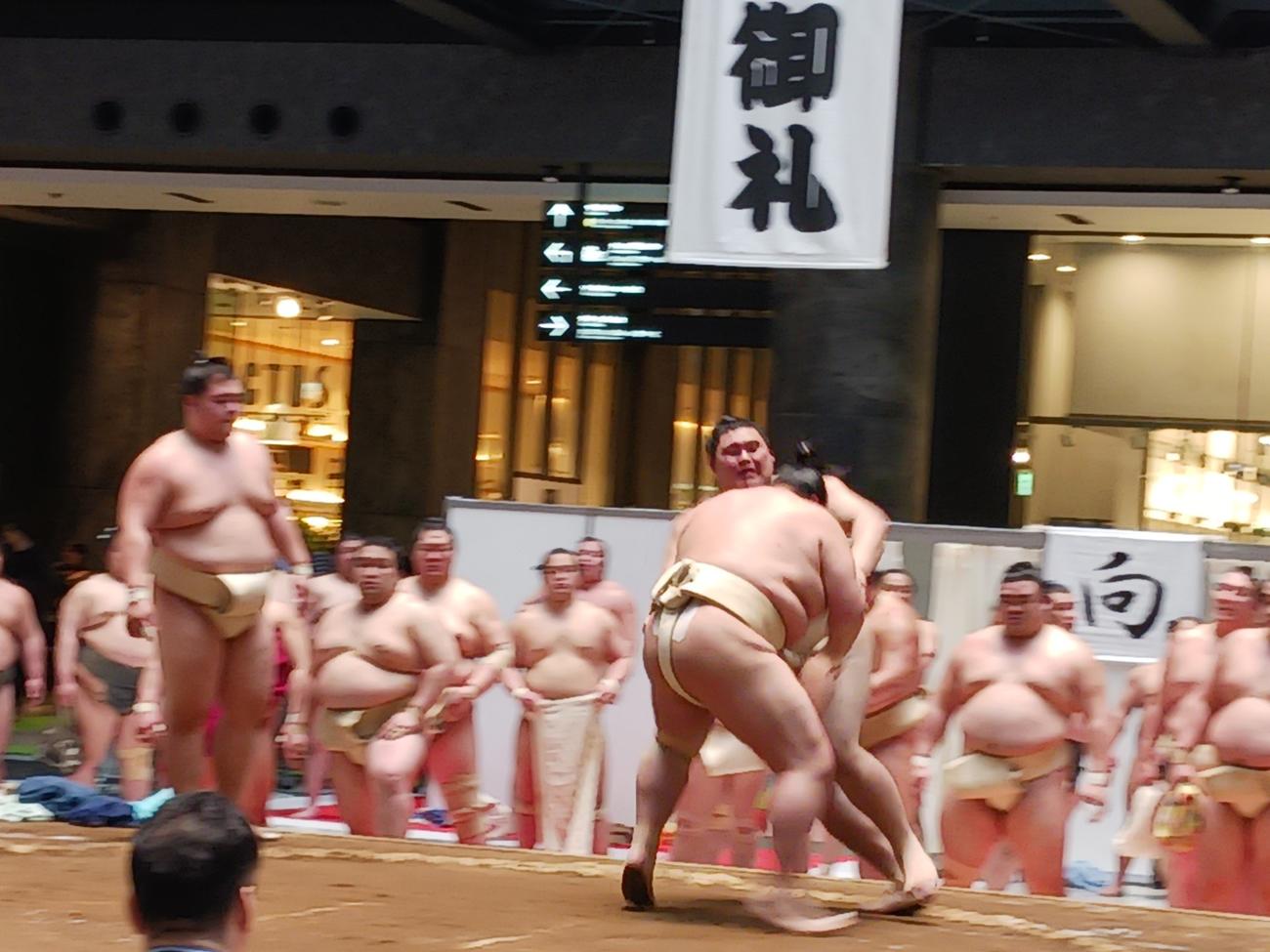 三番稽古で激しくぶつかり合う大の里と琴桜（撮影・実藤健一）