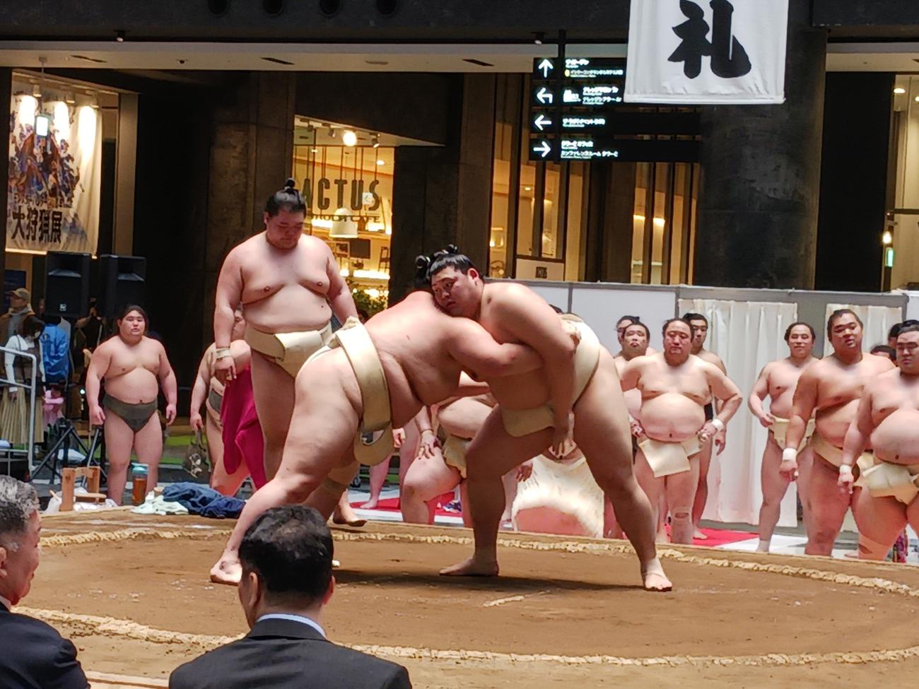 三番稽古で激しくぶつかり合う大の里と琴桜（撮影・実藤健一）