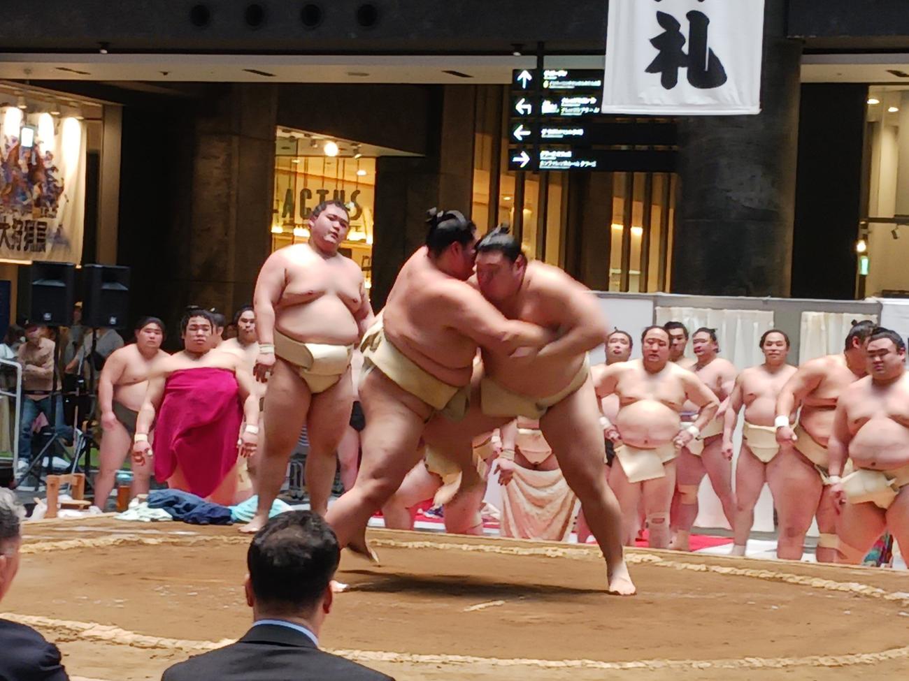 三番稽古で激しくぶつかり合う大の里と琴桜（撮影・実藤健一）