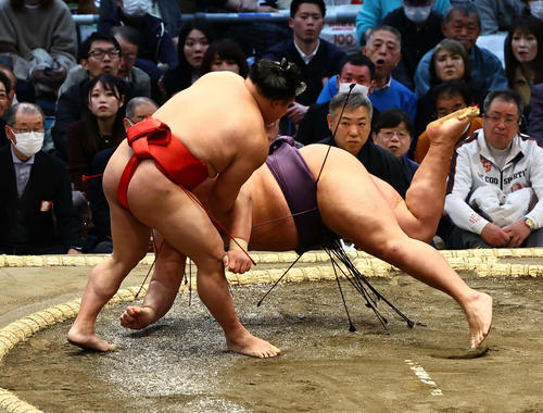 翠富士が「明るい赤色」のまわしでファンの目引く「大勝ちか大負けが