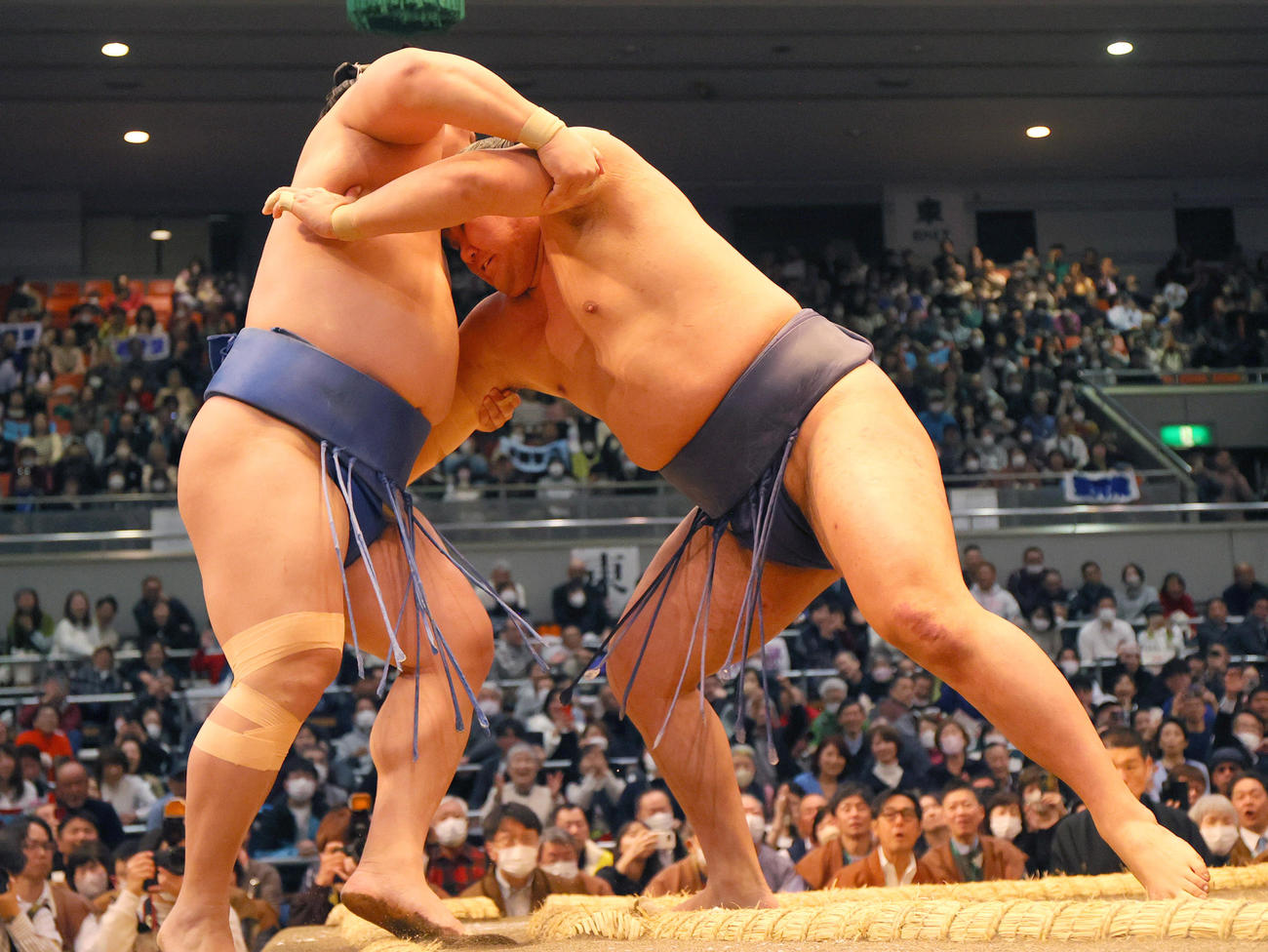 豊昇龍（右）は寄り切りで若隆景を破る（撮影・上山淳一）