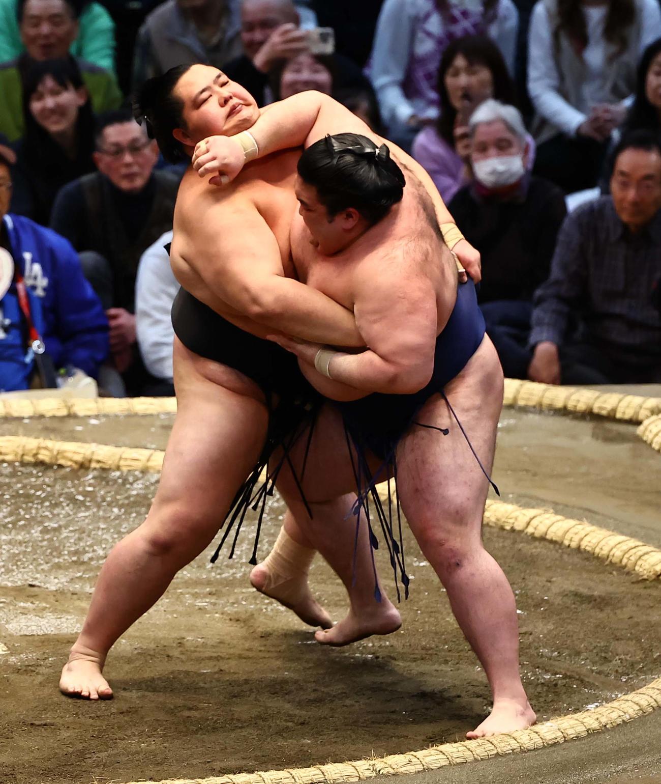 豪ノ山（右）を寄り切る琴桜（撮影・上田博志）