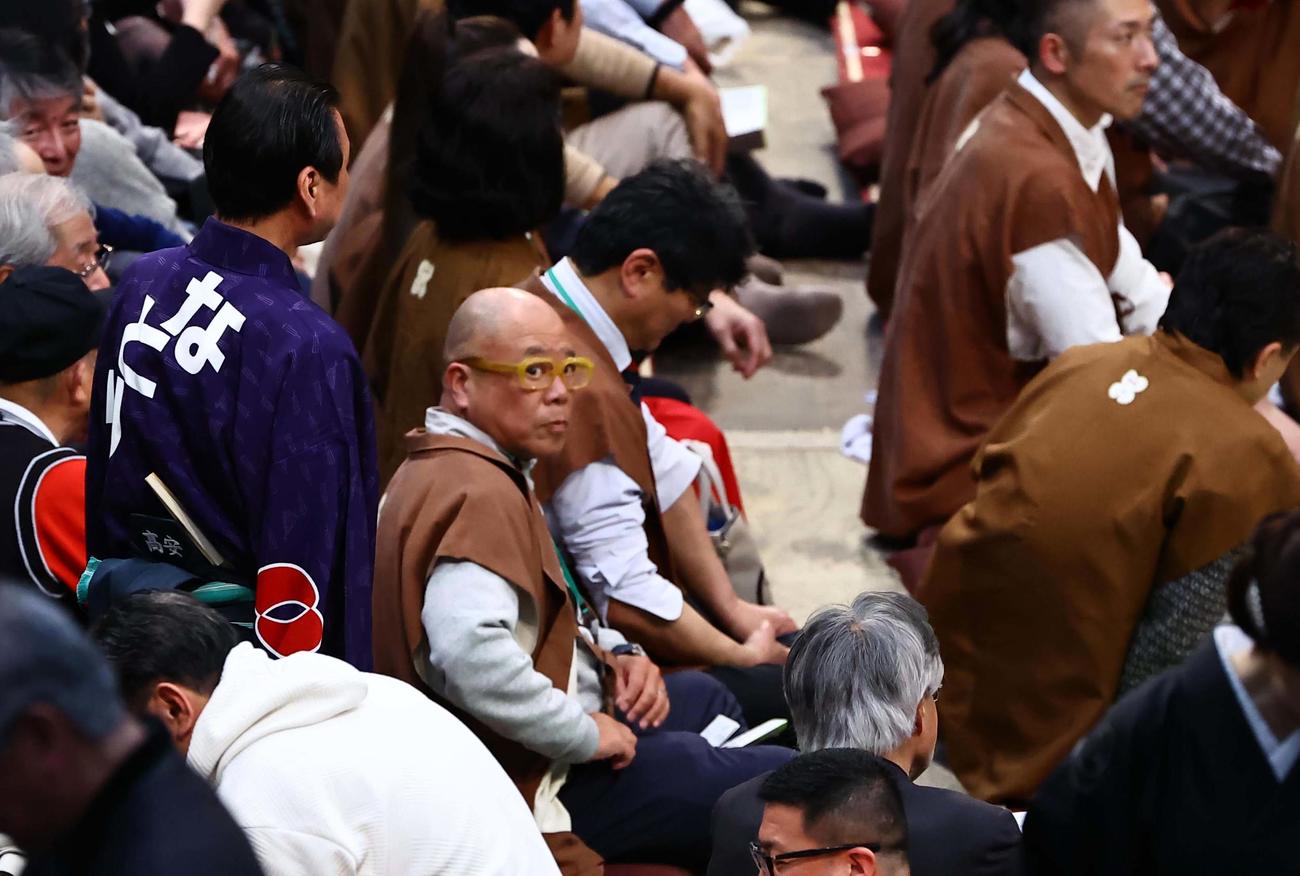 大相撲大阪場所3日目　大相撲を観戦するタージン（撮影・上田博志）