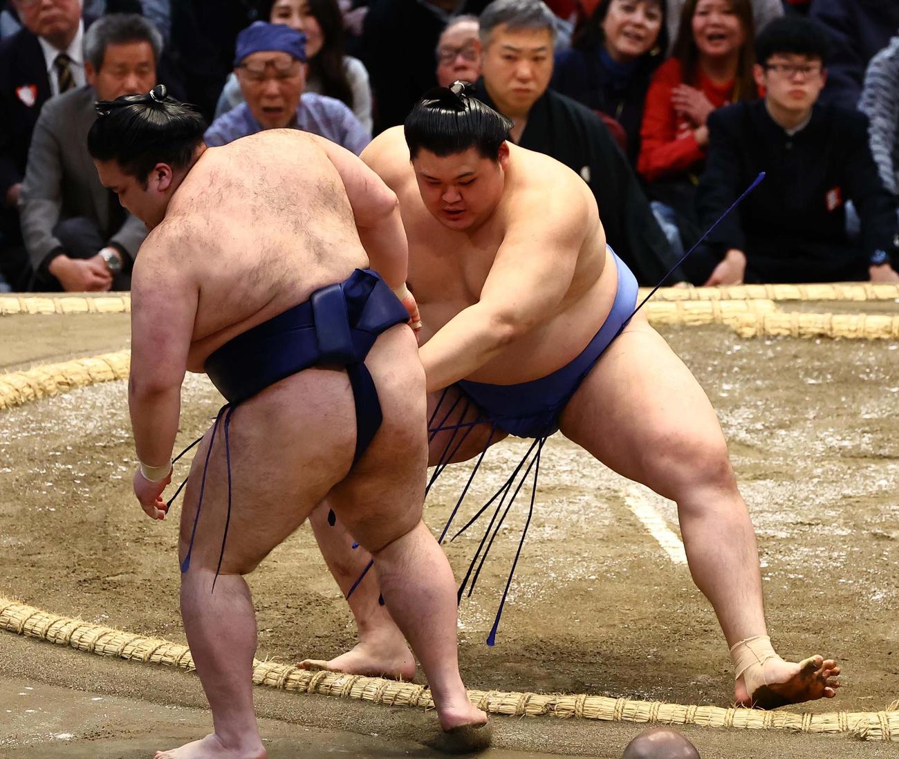 豪ノ山に押し出しで勝利する大の里（撮影・上田博志）