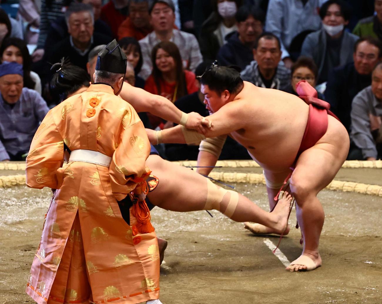 若隆景に突き倒しで勝利した大栄翔（撮影・上田博志）