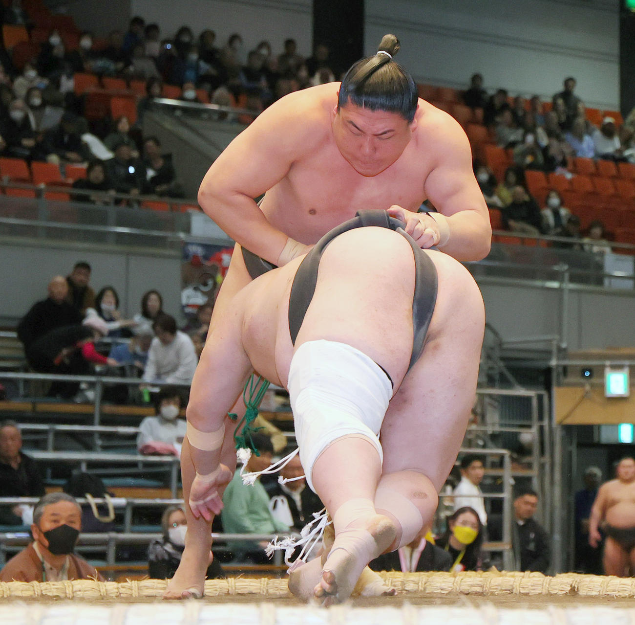 大相撲春所3日目　若隆元対藤闘志　若隆元（奥）はたたき込みで藤闘志を破る（撮影・上山淳一）