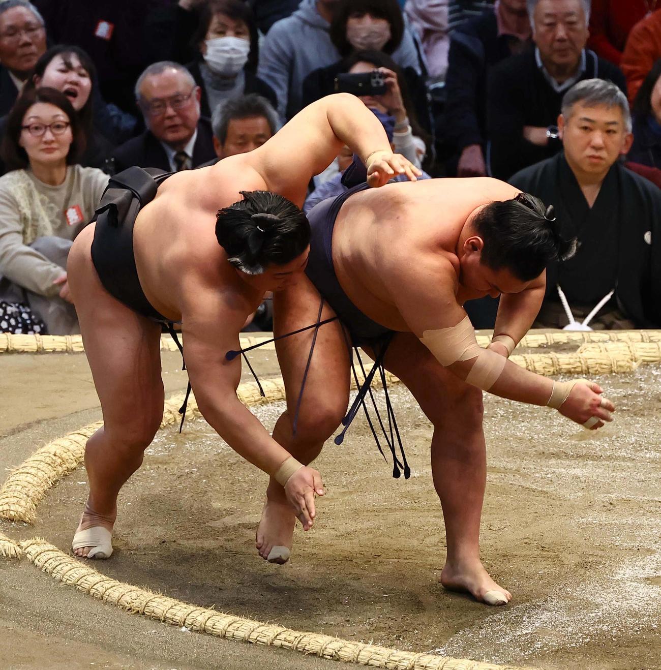 豊昇龍（右）は若元春を首投げで破る（撮影・上田博志）