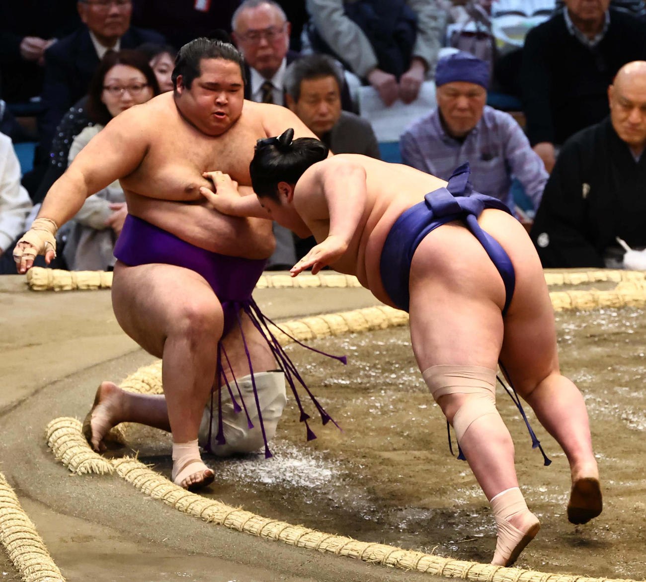 藤青雲（右）に押し倒しで敗れる生田目（2025年3月撮影）