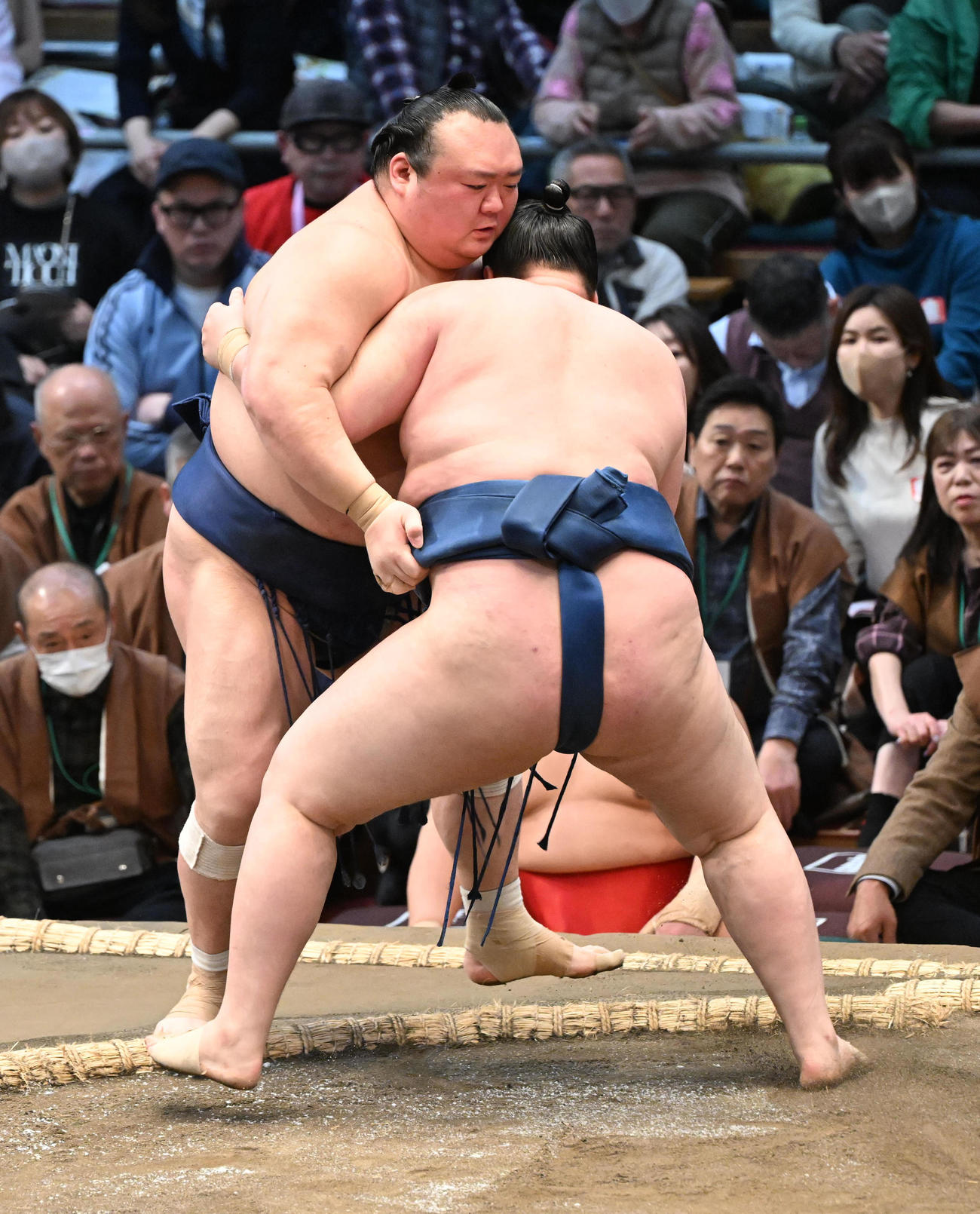 宝富士（奥）を寄り切りで破る阿武剋（撮影・和賀正仁）