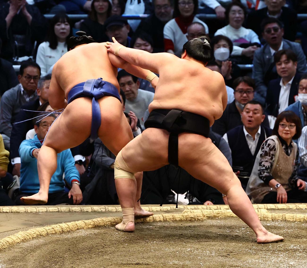 琴桜（右）は若隆景に押し出しで勝つ（撮影・上田博志）