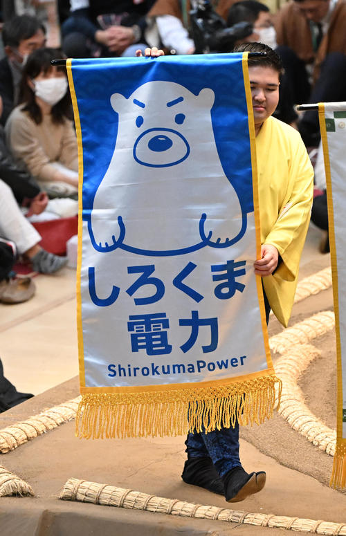 白熊がしろくま電力の懸賞をついにゲット「白くまアイス食べます